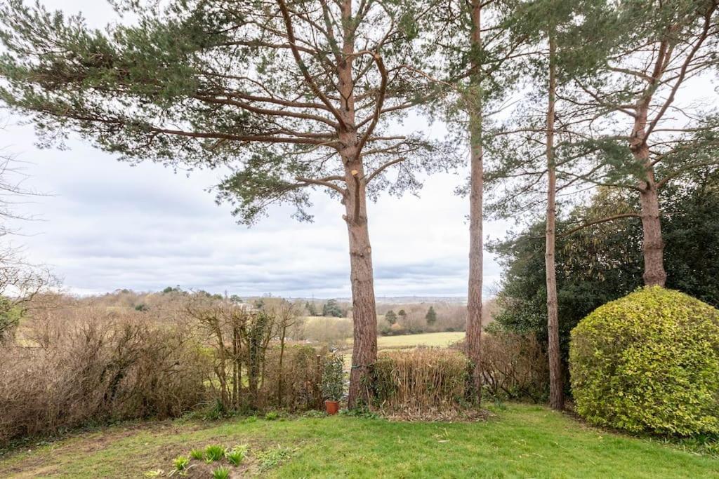 Oak Tree Cottage Uckfield Zewnętrze zdjęcie