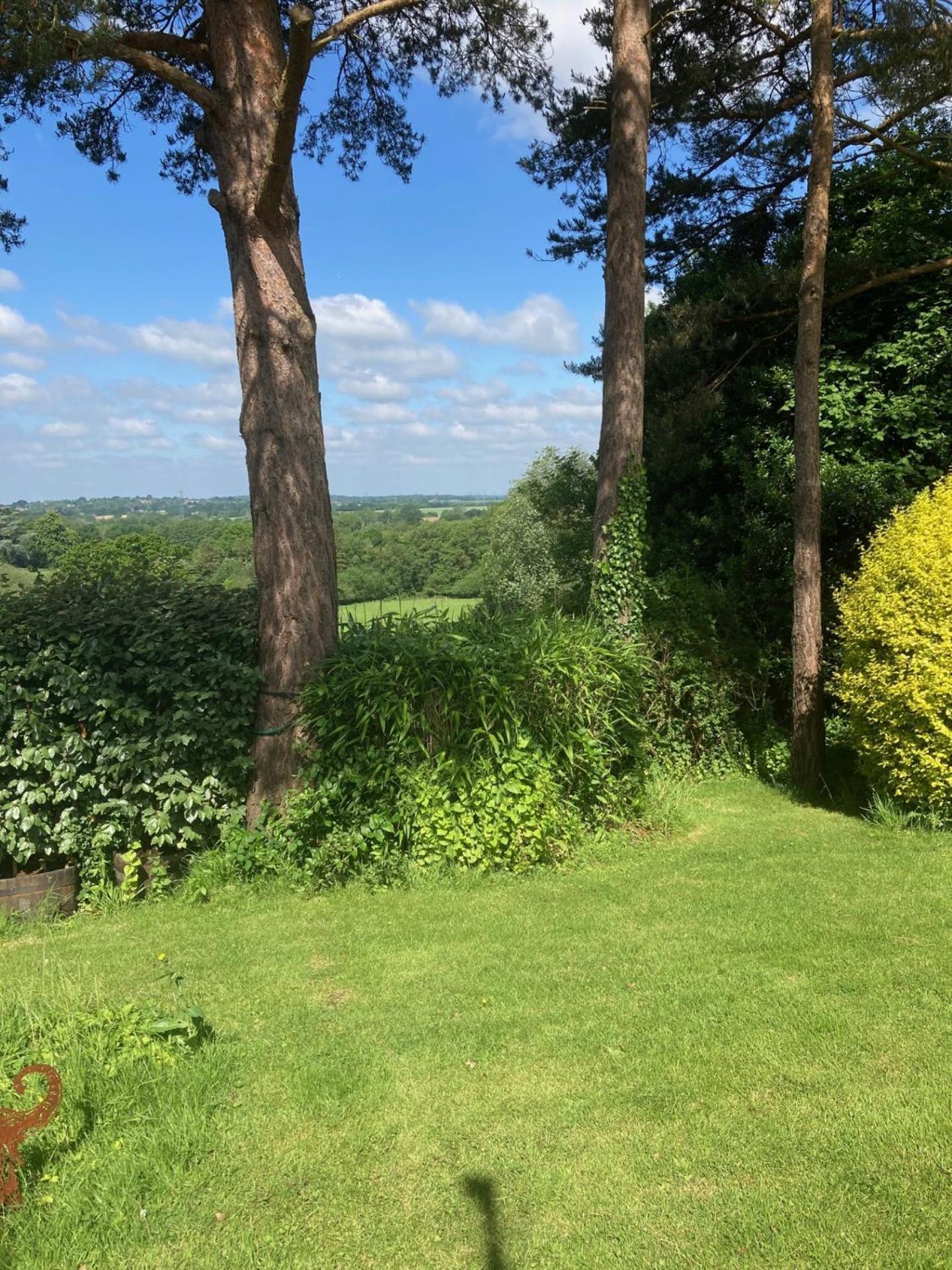 Oak Tree Cottage Uckfield Zewnętrze zdjęcie